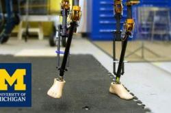 密歇根州立大学教机器人识别移动物体的颜色