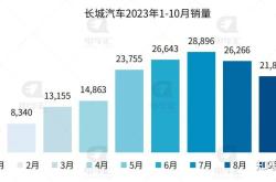 11月汽车产销创历史新高，全年销量将达到3100万辆