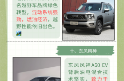 丰田将在中国建立雷克萨斯电动汽车工厂