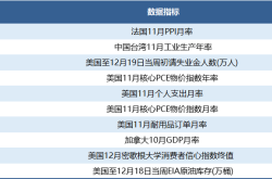 巴斯夫暂停在印尼投资建设镍钴精炼厂