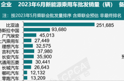 新能源与自主品牌领跑 | 2024年一季度深圳汽车市场洞察