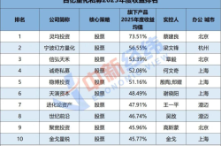 拒绝融资的DeepSeek，开始备战IPO