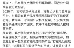影石：“黑水军”幕后组织者为同行业高管