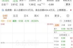 刚刚，20%跌停！锁定退市！又一只A股，拉响警报