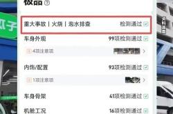 罗永浩代言过的瓜子二手车，值得信任吗？