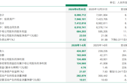 中国人寿中报利润高增之外