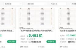 21.23亿起拍！6.74亿股阳光保险将拍卖，关联“阜兴系”非法集资案资产处置