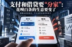支付和借贷要“分家”：花呗白条的生意要变了