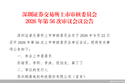 营收增速放缓、研发费用率逊于同行，朗高科技IPO迎考