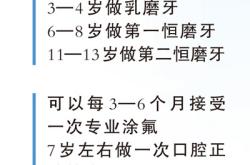 给老人孩子的爱牙指南（服务窗·“全国爱牙日”特别策划）