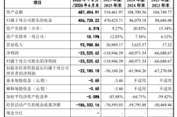 云豹智能冲刺“国产DPU第一股”，98%营收来自大股东腾讯