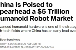IPO暂缓，智元机器人何去何从？
