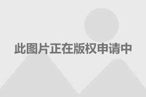 中国汽车在巴西销量激增8倍，通用、大众的市场主导地位受威胁